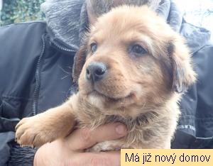 �t���tko �.3