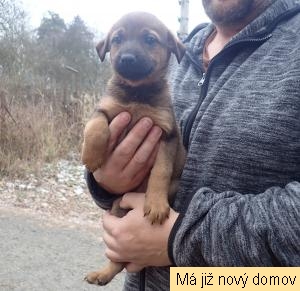 �t���tko �.4