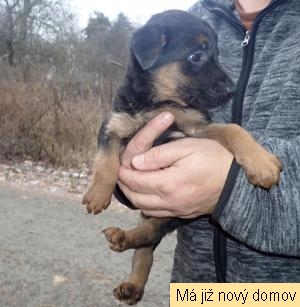 �t���tko �.5
