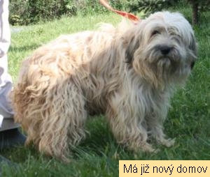 Tade�