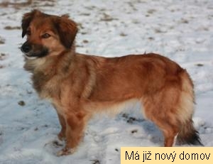 Terezka