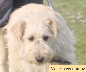 Ton�k