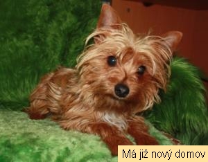 Twix