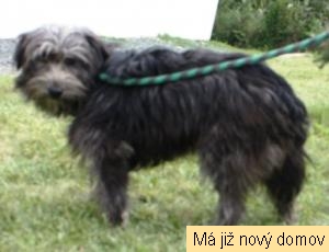 Zaf�k