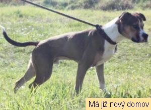 Zoe