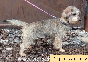�ofinka