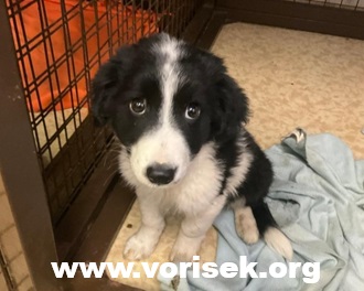 2492-25.jpg