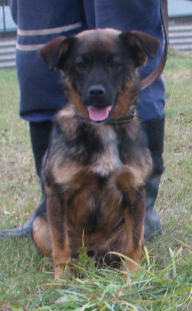 alik-221-11-2.jpg