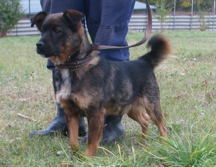 alik-221-11-3.jpg