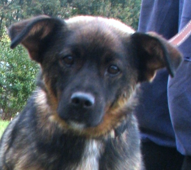 alik-221-11-4.jpg