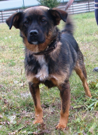 alik-221-11-5.jpg
