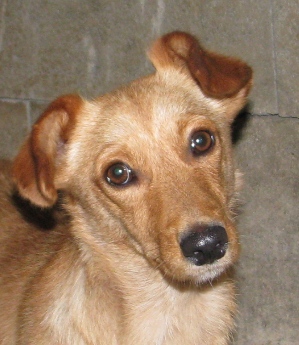 amalka-173-10-4.jpg