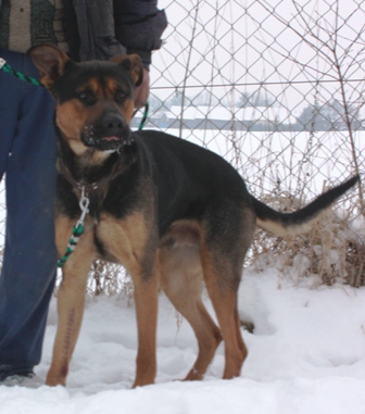 balu-454-13-3.jpg