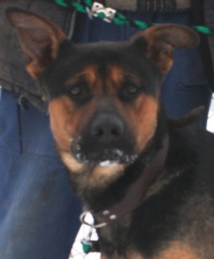 balu-454-13-4.jpg
