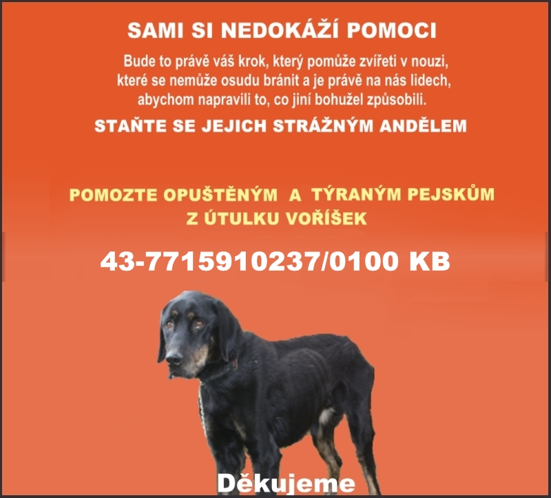 banner-v-2014-6.jpg