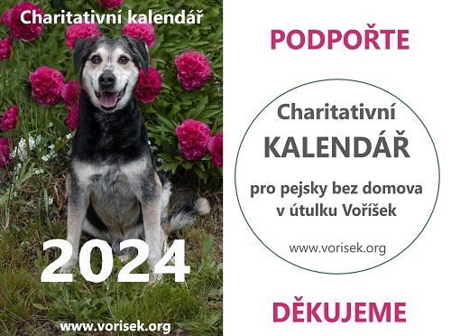 banner-v-2024.jpg