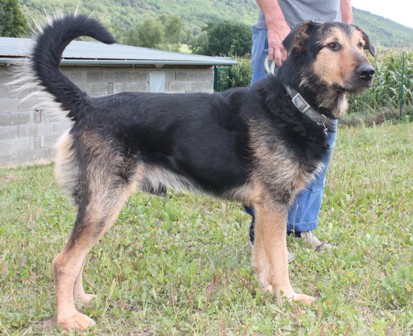 baron-384-12-2.jpg