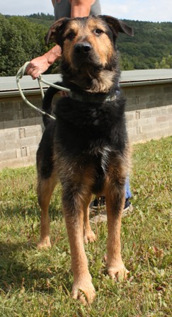 baron-384-12-3.jpg