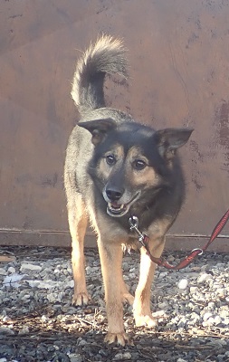 baryk-1.jpg