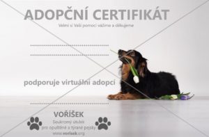 certifikat-virtualni-adopce-na-web-300x197.jpg