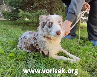 chico-08-10-2025-12-2.jpg