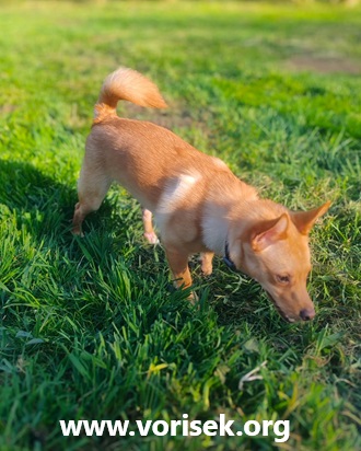 cloe-2-2.jpg