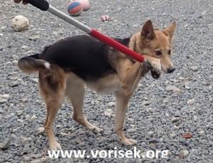 dasenka-01340-19-1522.jpg