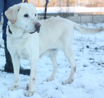 debie-435-12-2.jpg
