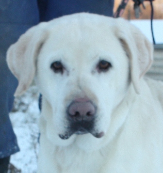 debie-435-12-4.jpg