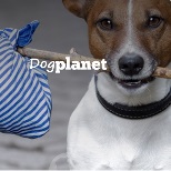 dog-planet.jpg