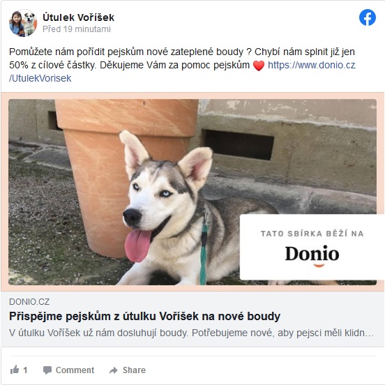 donio-2.jpg