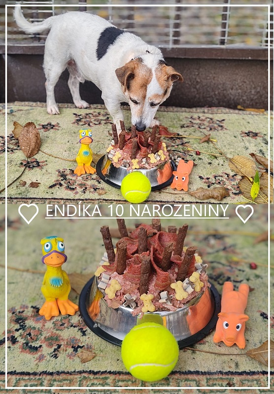 endika-dortik10let.jpg
