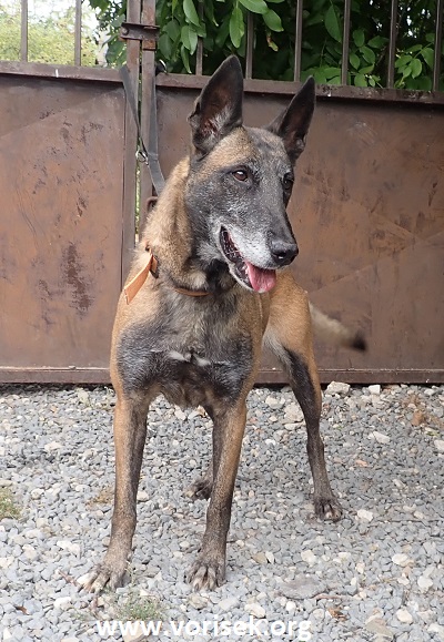 fatima-1259-18-2.jpg