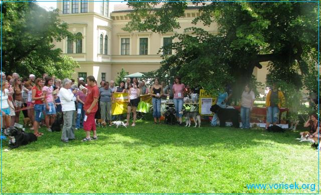 feny-bez-pp27-07-2008-137.jpg