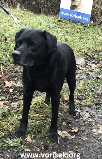 jon-1534-20-4.jpg