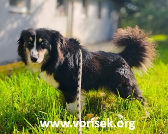 kliff-08-10-2025-11.jpg