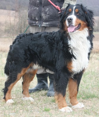 koudy-283-12-2.jpg