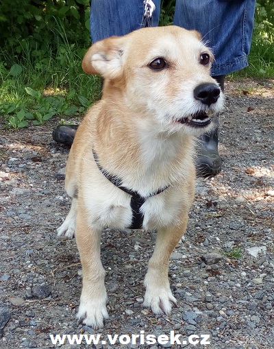 lucinka-1236-18-1.jpg