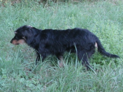 marko-0939-15-2.jpg