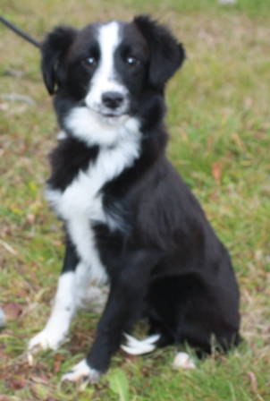 mina-nove-4.jpg