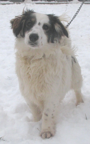 monty-31-08.jpg