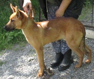 paco-715-14-2.jpg