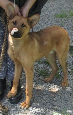 paco-715-14-3.jpg