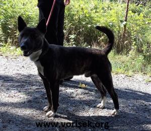 panky-01164-17-2-1324-2.jpg