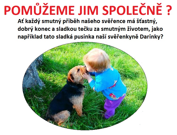 pomuzeme-jim-spolecne.jpg