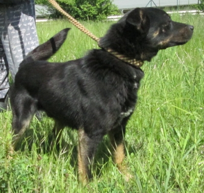rarasek-714-14-2.jpg