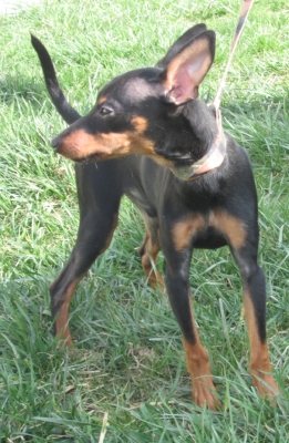 ricardo-692-14-3.jpg