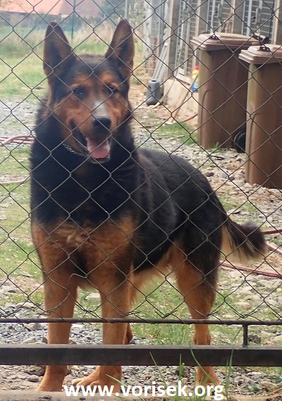 rocky-2-2.jpg