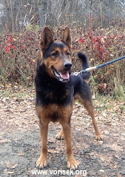 rocky2019-2.jpg