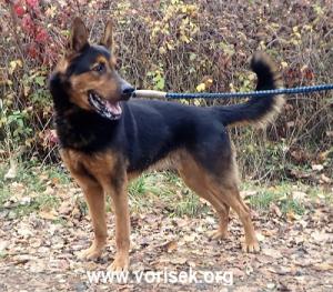 rockysek-2019-1-1374.jpg